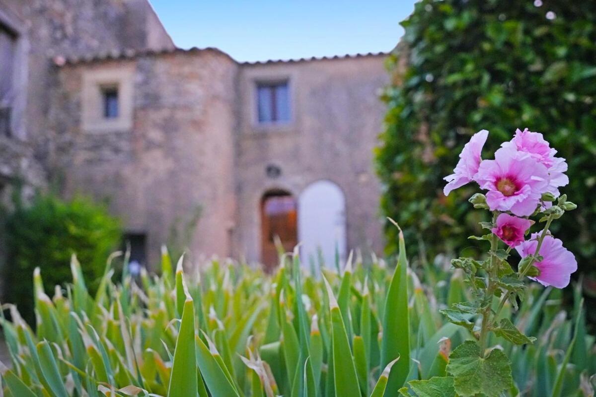 Mas La Miellerie - Charme Authentique Et Nature Holiday home